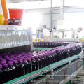 Grape juice production line